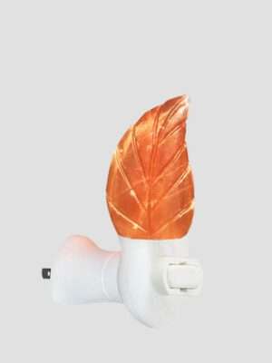 Leaf <br> Weight (kg): App 400 gr <br> NLP 1-5
