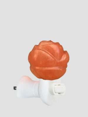 Flower <br> Weight (kg): App 400 gr <br> NLP 1-6