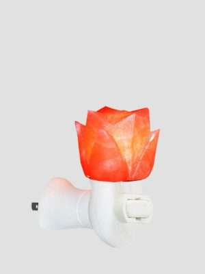 Lotus <br> Weight (kg): App 400 gr <br> NLP 1-4