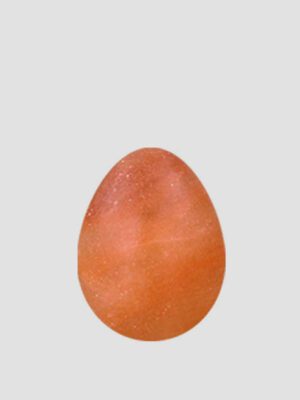 Brine Egg Turkey <br> IS I358